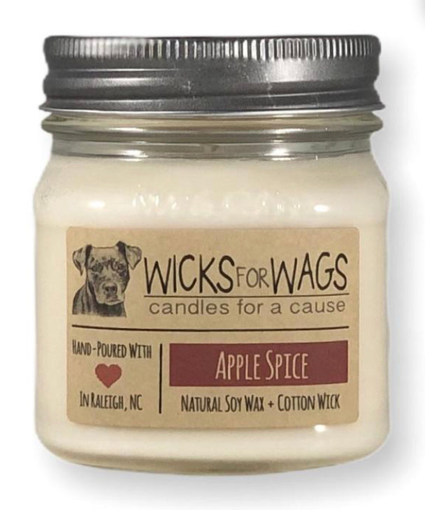 Apple Spice Soy Candle - Handmade
