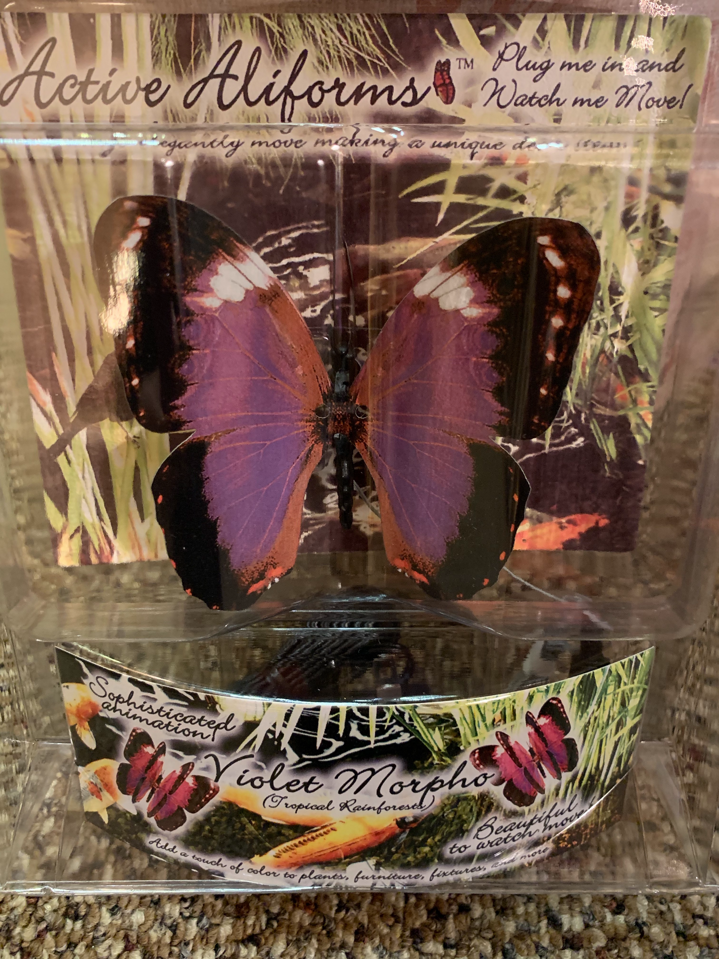 Moving Butterfly-Violet Morpho