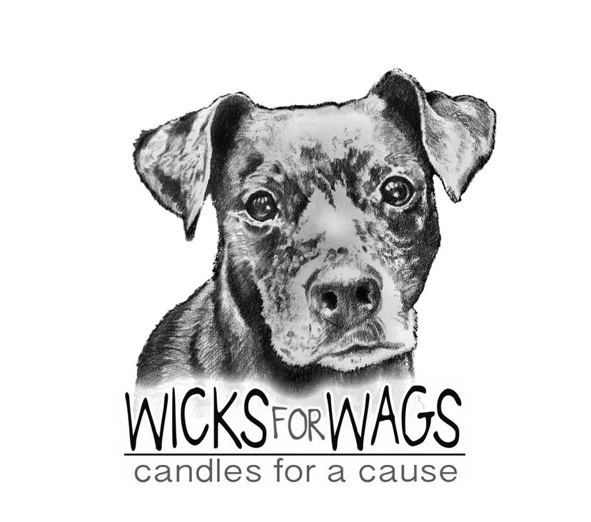 Warm Apple Pie Soy Candle - Handmade