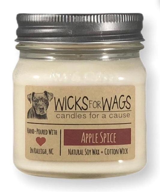 Apple Spice Soy Candle - Handmade