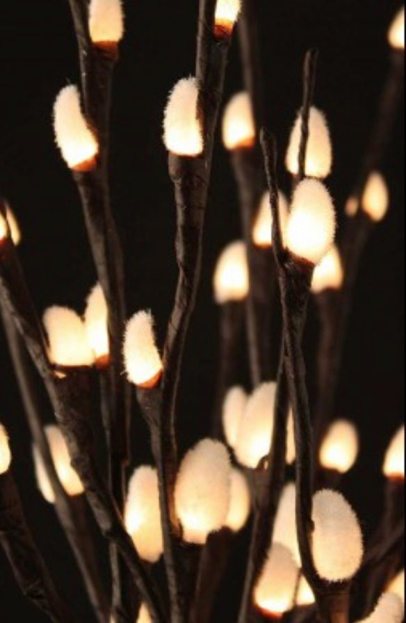 Natural Pussy Willow with 80 Light LED 40"