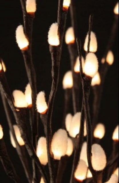 Natural Pussy Willow with 80 Light LED 40"