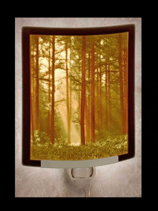 Nightlight Woodland Sunbeam