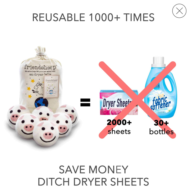 PIGGY BAND ECO DRYER BALLS